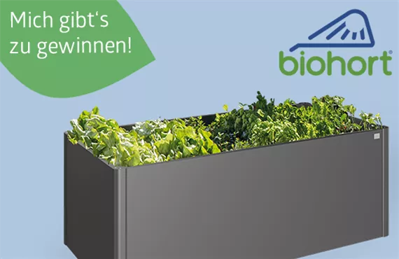 gewinnspiel-biohort_blatt-heller.png