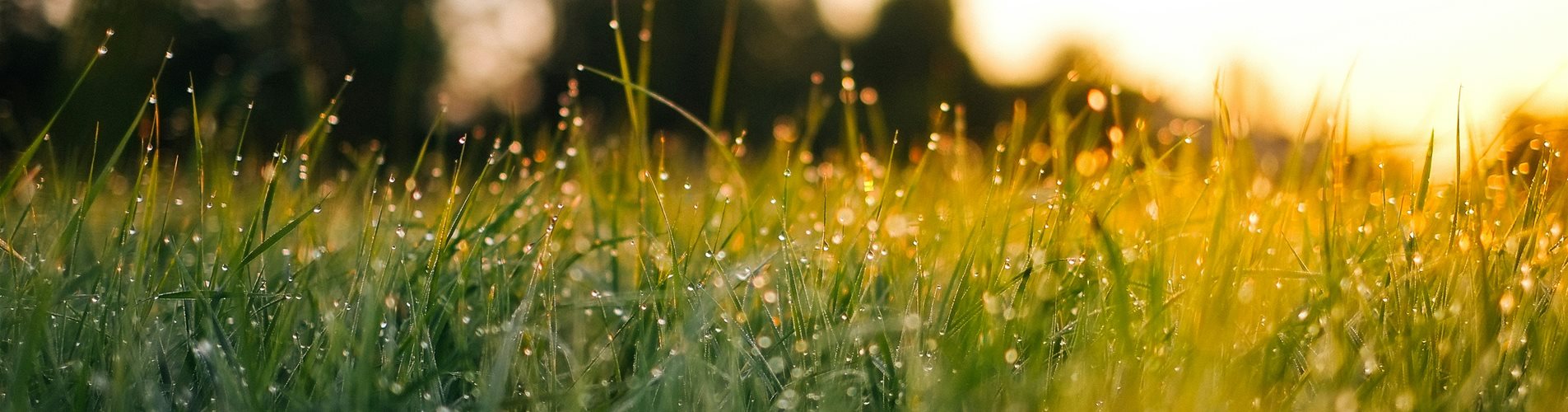 Bedeutung des Bodens Bedeutung des Bodens