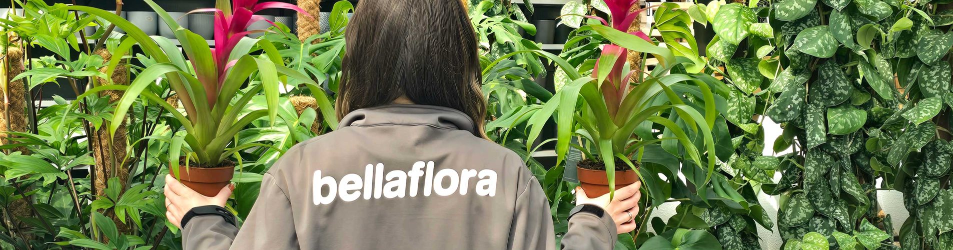 202504_sonntagsoeffnung 202504_sonntagsoeffnung