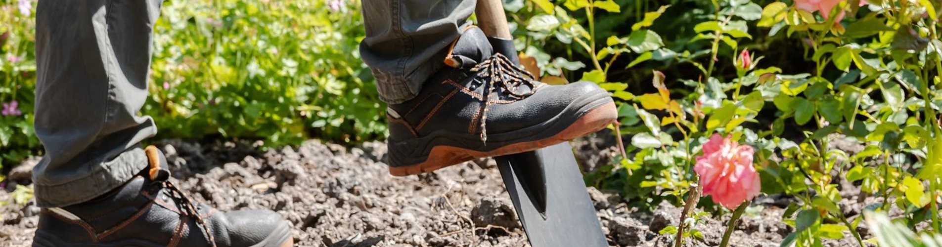 GS666866_Mann bei der Gartenarbeit_-259-925-1972-1314 GS666866_Mann bei der Gartenarbeit_-259-925-1972-1314