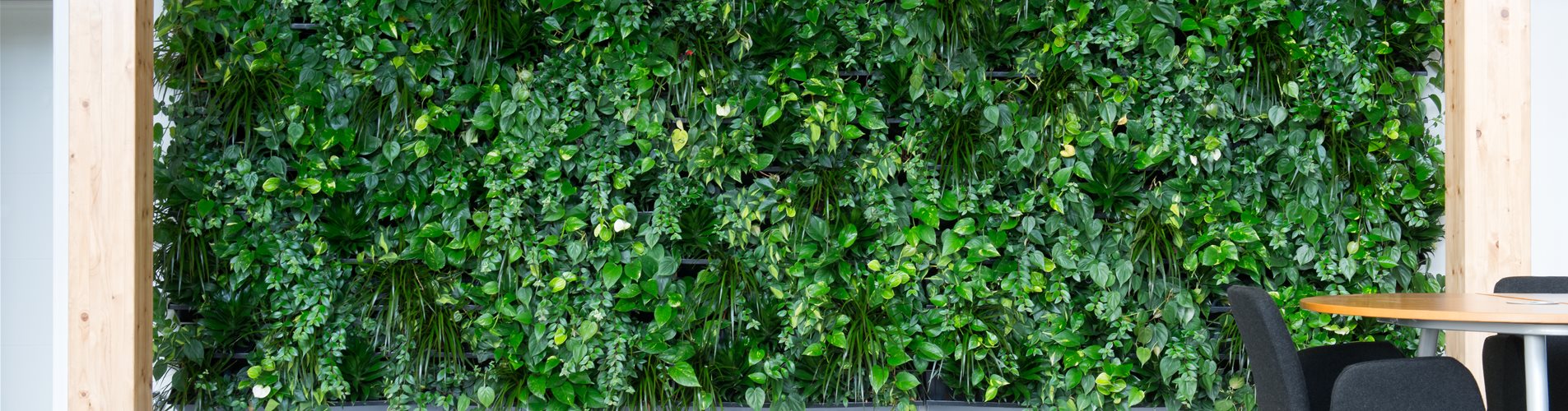 NEXTGEN - Living-Wall-44 NEXTGEN - Living-Wall-44