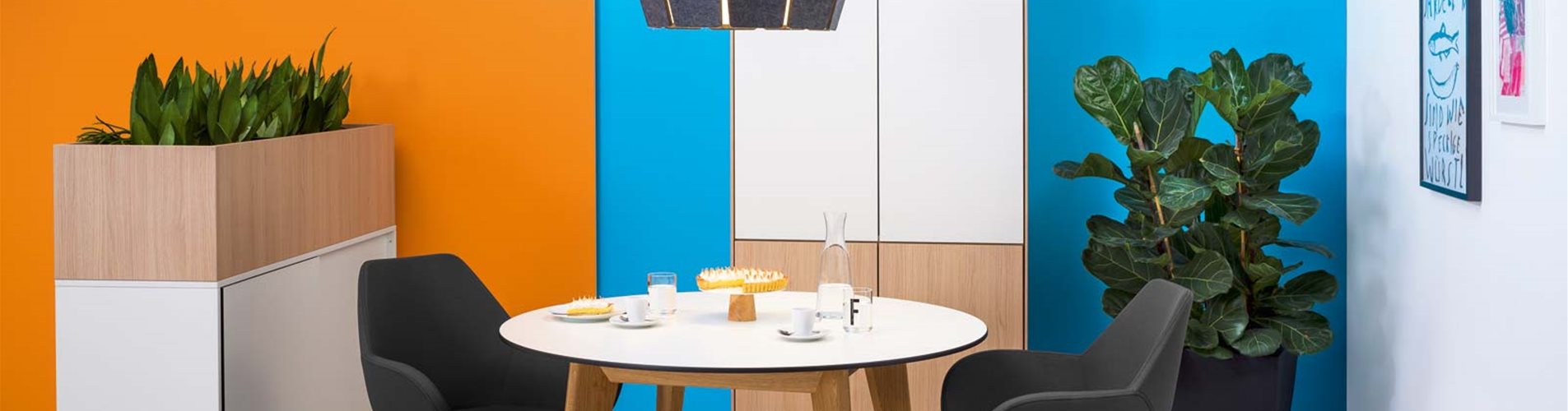 header_hali header_hali