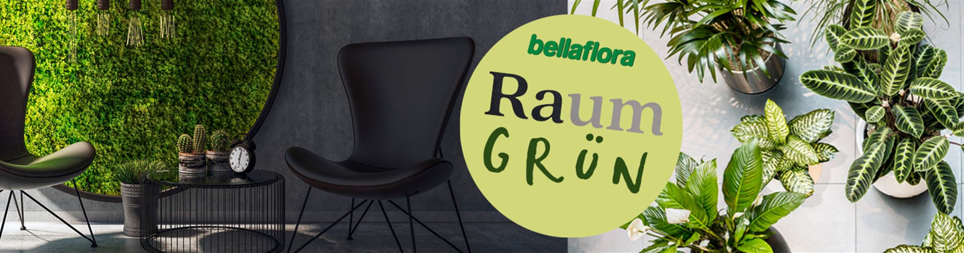 Header-Raumgreen-1400x350x Header-Raumgreen-1400x350x