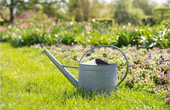 Gießkanne im Garten