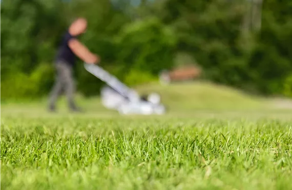 Gartenarbeit - gemähter Rasen