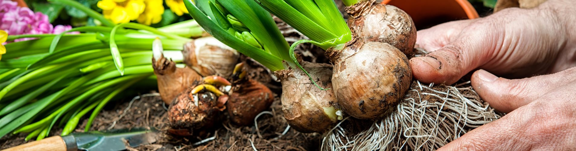 AdobeStock_78438608 (1)-0-0-6048-4032 AdobeStock_78438608 (1)-0-0-6048-4032