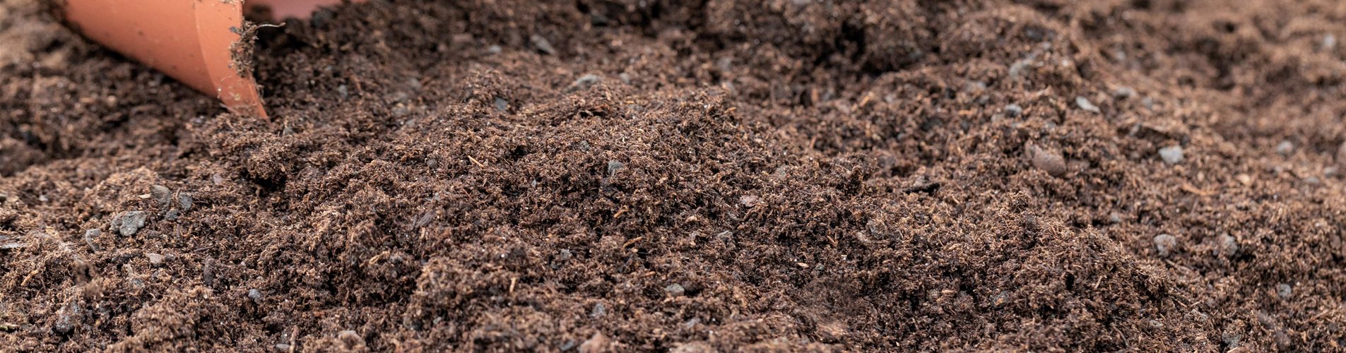 GS676095_Erde_ GS676095_Erde_