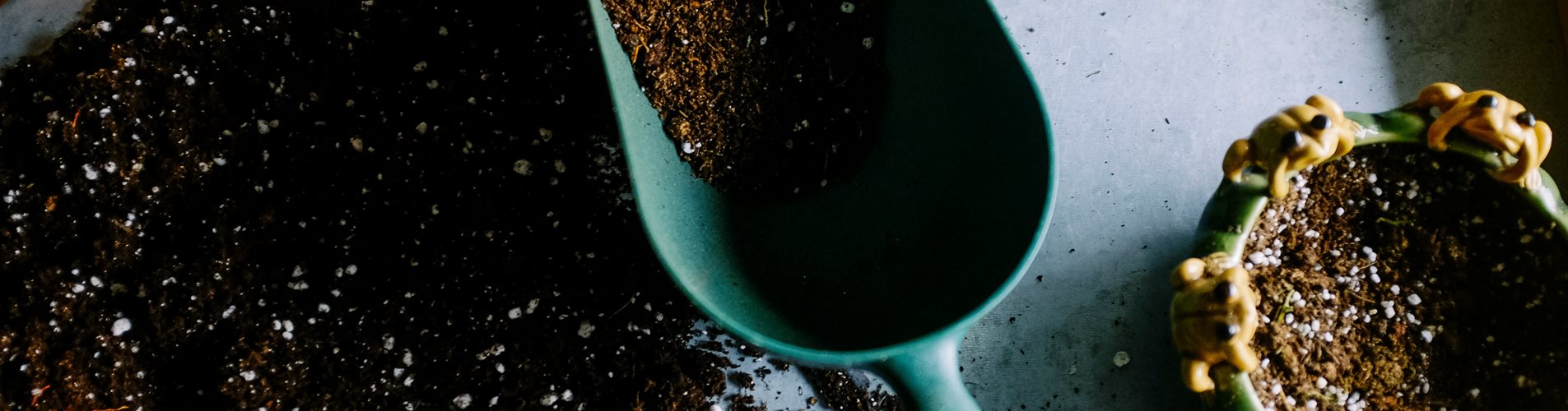 neslihan-gunaydin-BduDcrySLKM-unsplash (1) neslihan-gunaydin-BduDcrySLKM-unsplash (1)