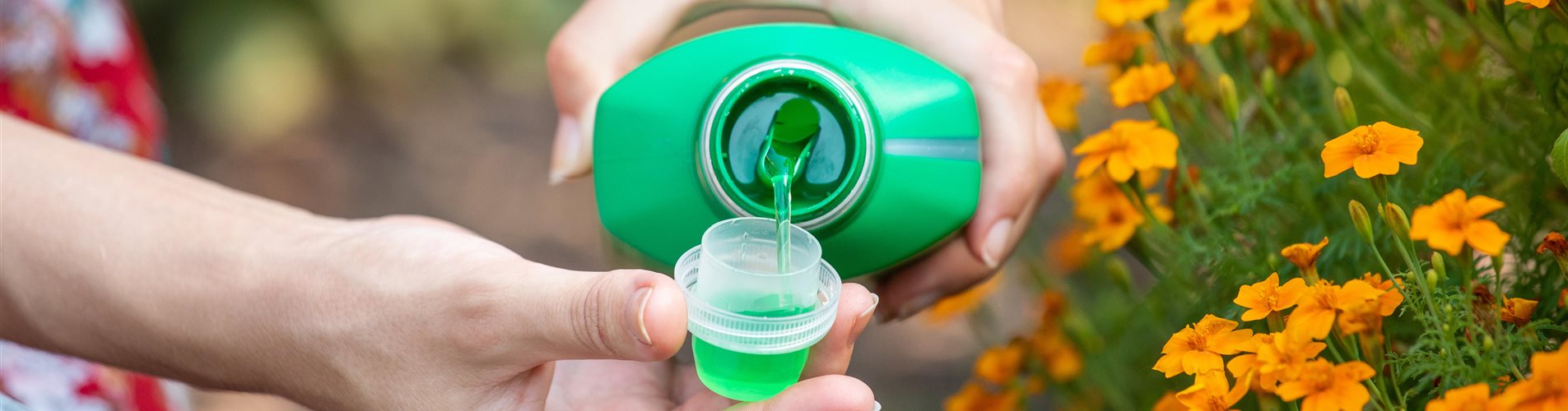 GS671883_Dünger - Universaldünger_ GS671883_Dünger - Universaldünger_