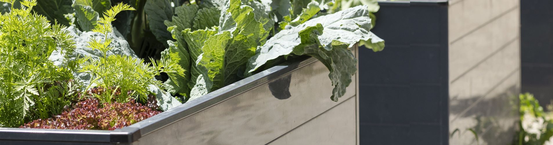 iStock-1487524145_header-547-433-4364-2909 iStock-1487524145_header-547-433-4364-2909