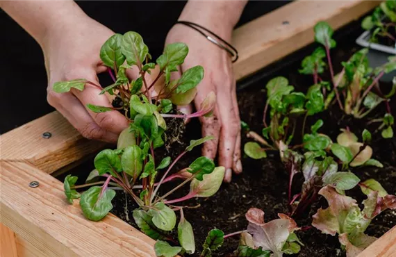 Gartenzubehör für alle Hobbygärtner