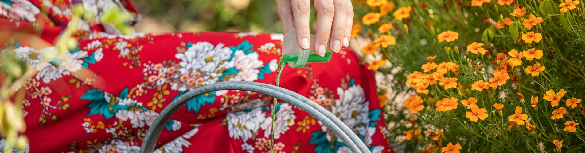 GS671886_Dünger - Flüssigdünger in Gießkanne geben_ GS671886_Dünger - Flüssigdünger in Gießkanne geben_