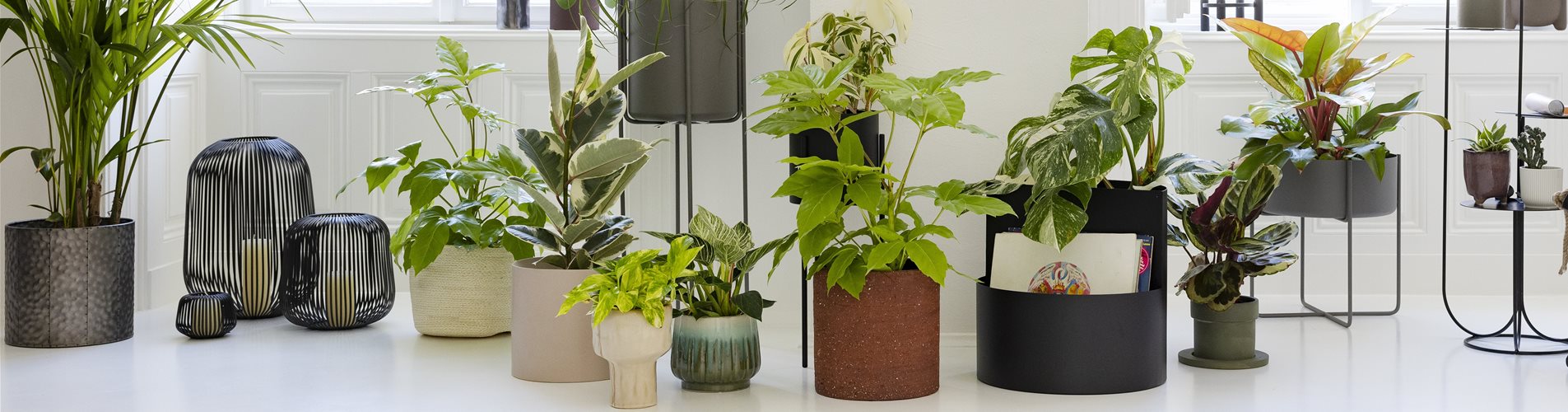 03_JH31657_header-405-1389-6109-4074 03_JH31657_header-405-1389-6109-4074