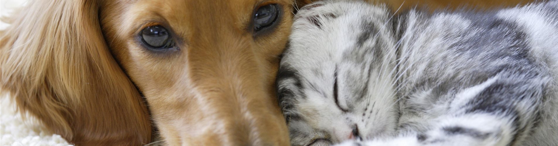 iStock-673388106_header-363-414-4330-2886 iStock-673388106_header-363-414-4330-2886