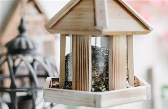 Vogelfutterhaus im Garten