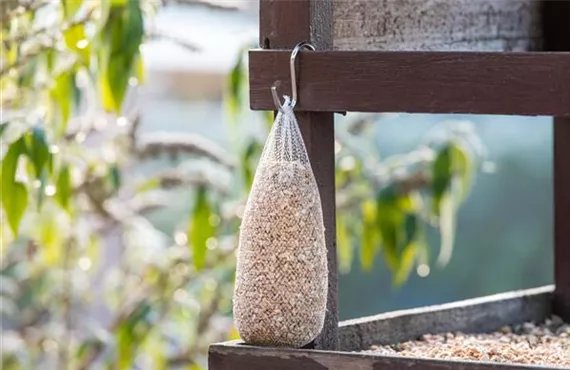 Vogelfutter für hungrige Gartenvögel