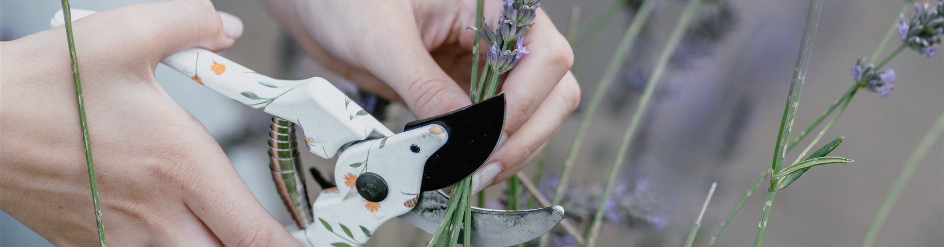 Werkzeug-0-2011-4043-2274 Werkzeug-0-2011-4043-2274