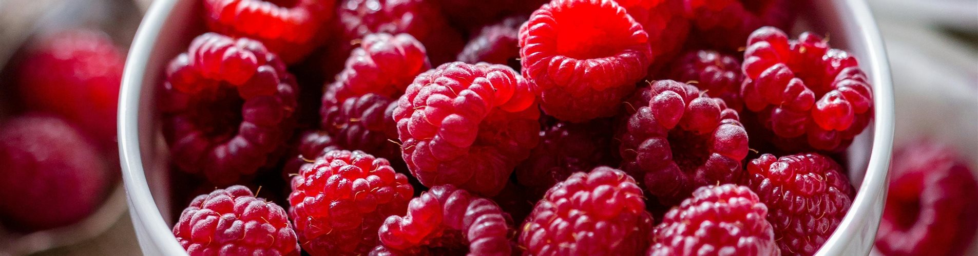 pexels-pixabay-326179 (1)-0-2016-3713-2088 pexels-pixabay-326179 (1)-0-2016-3713-2088