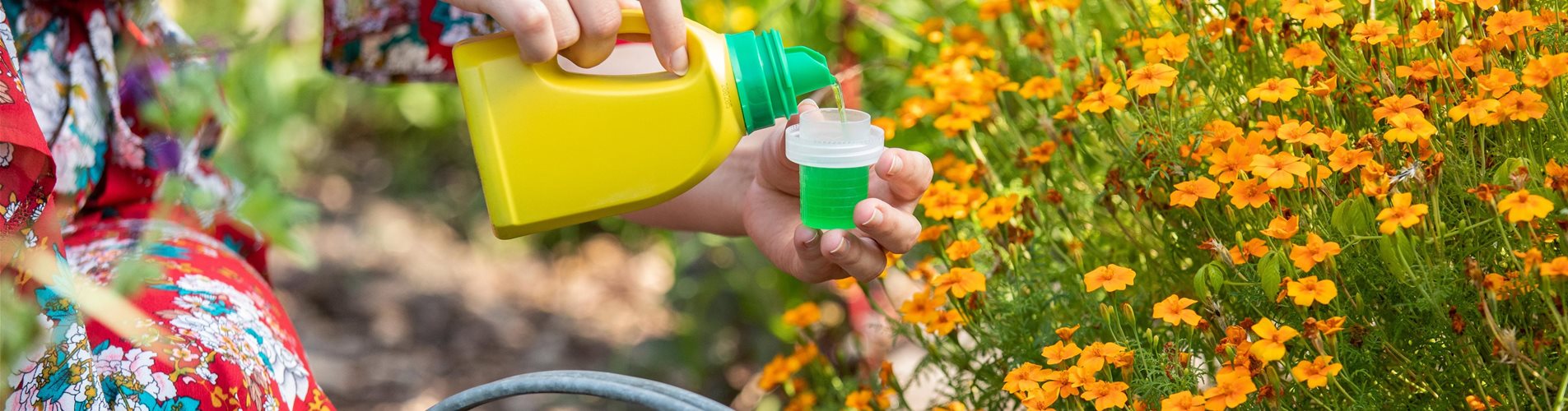 GS671884_Dünger - Zitrusdünger_-0-0-6039-3396 GS671884_Dünger - Zitrusdünger_-0-0-6039-3396