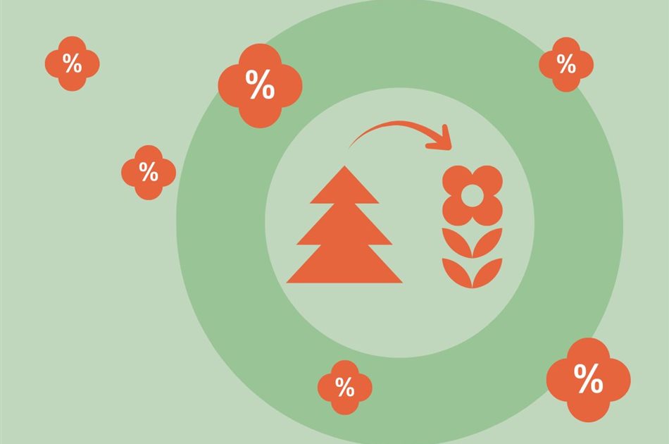 Weihnachtsbaum raus, Zimmerpflanze rein! Weihnachtsbaum raus, Zimmerpflanze rein!