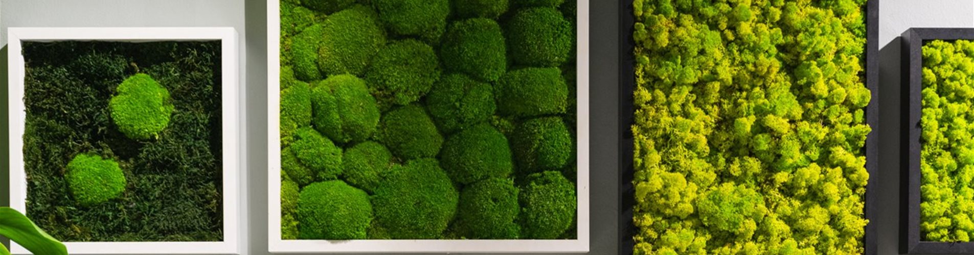 2023-06-salon-verde-kettenbrueckengasse-by-marion-payr-137-0-176-1400-787 2023-06-salon-verde-kettenbrueckengasse-by-marion-payr-137-0-176-1400-787