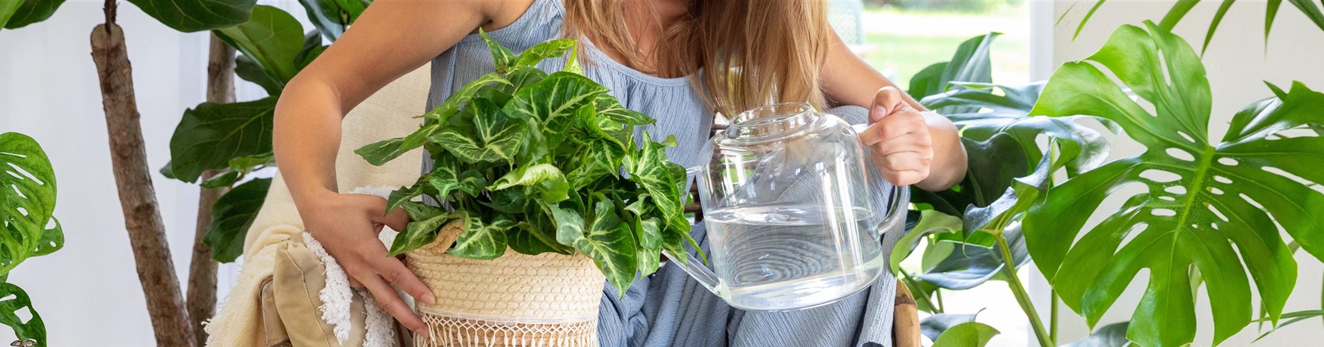 GS892052_Jungle Ambiente - Frau gießt Grünpflanze_-0-1807-6551-1403 GS892052_Jungle Ambiente - Frau gießt Grünpflanze_-0-1807-6551-1403