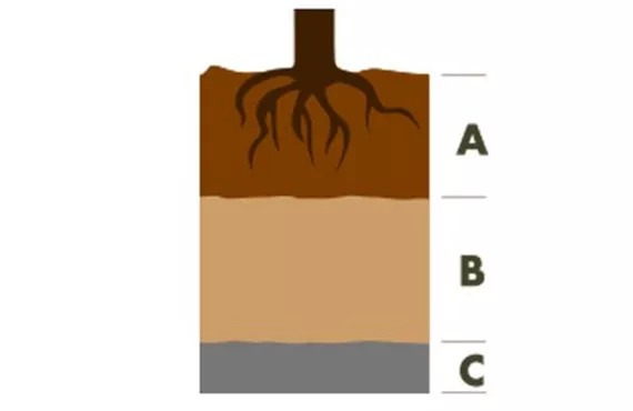 Illustration der Schichten des Bodens