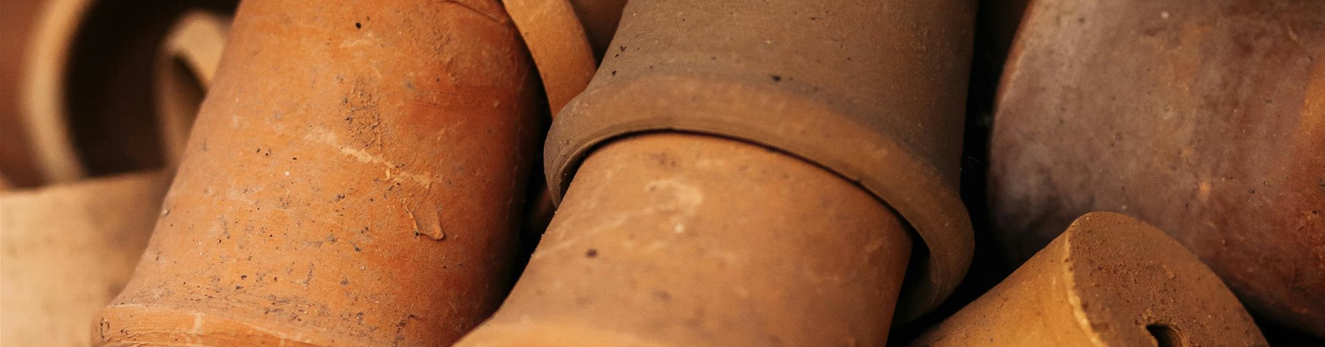 pexels-anna-khomutova-5780834 pexels-anna-khomutova-5780834