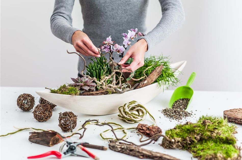 Dein individueller Pflanzservice Dein individueller Pflanzservice