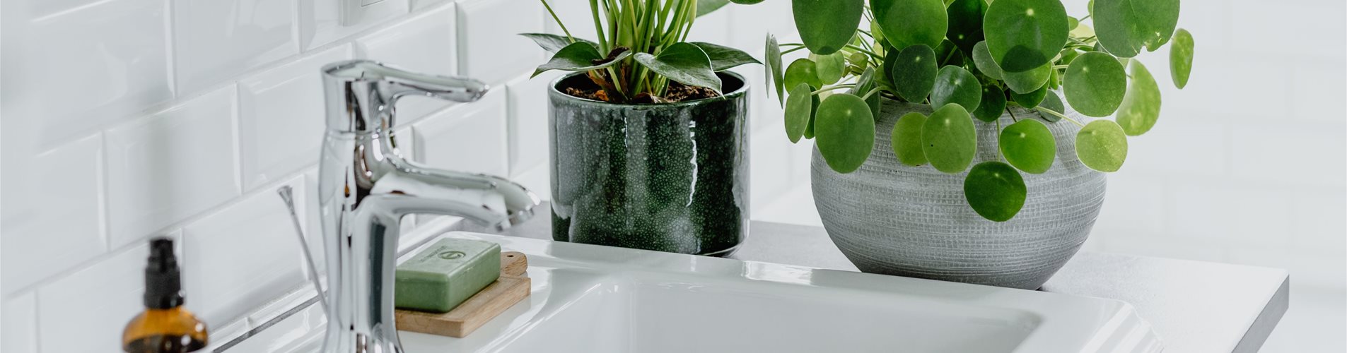 bellaflora-sommer-studiosoco-179-0-2561-4043-2274 bellaflora-sommer-studiosoco-179-0-2561-4043-2274