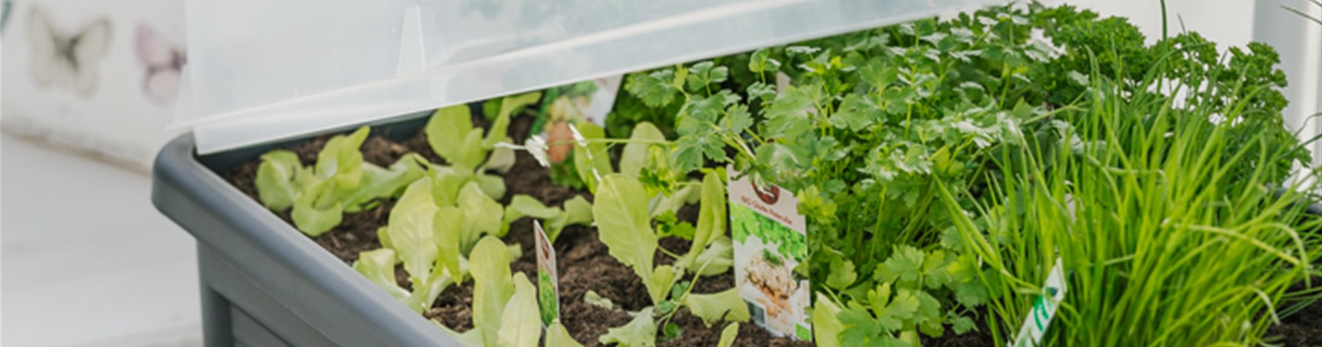 Hochbeet Kunststoff Hochbeet Kunststoff