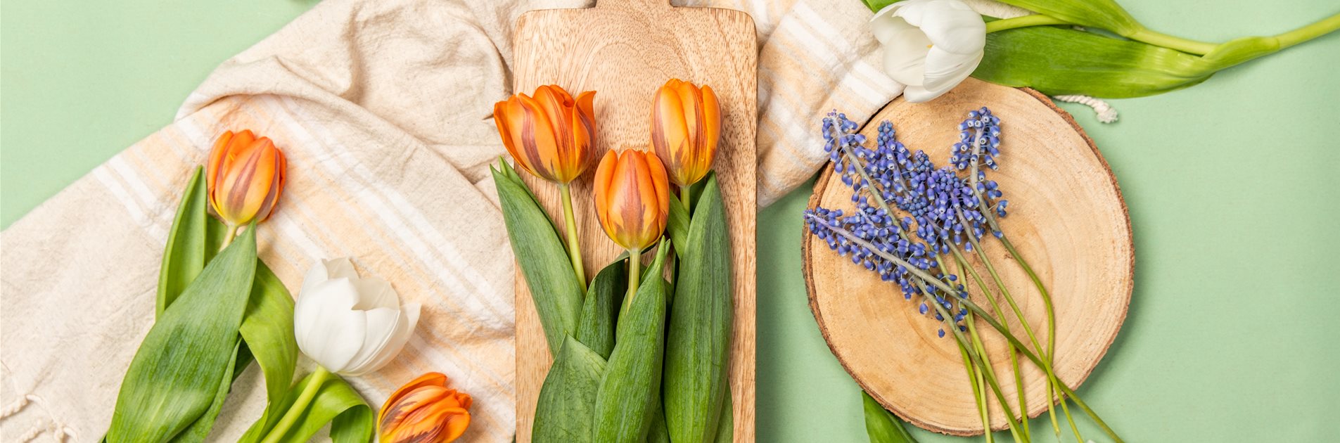 Für Frühling ist es nie zu früh Für Frühling ist es nie zu früh