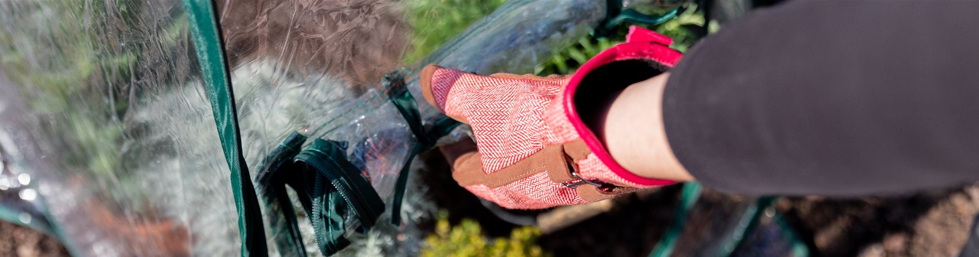 Überwinterung - Winterschutzzelt Überwinterung - Winterschutzzelt