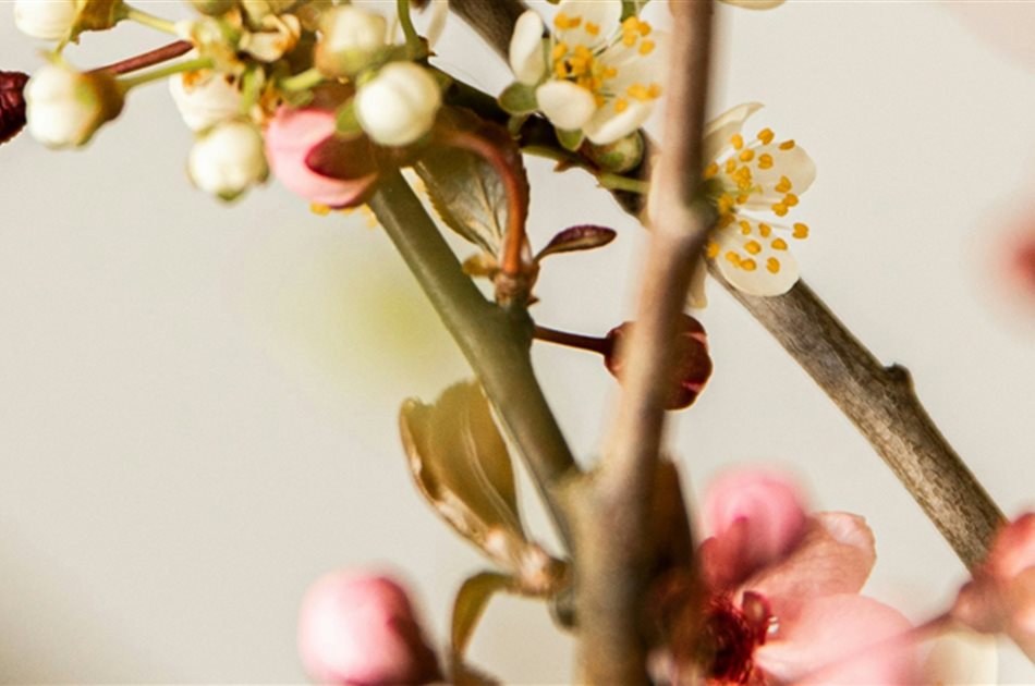 Feiern wir Ostern mit allen Sinnen! Feiern wir Ostern mit allen Sinnen!