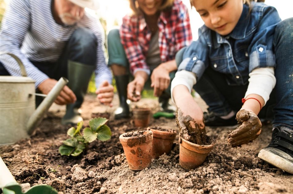 Dein Weg zum biologischen Garten Dein Weg zum biologischen Garten
