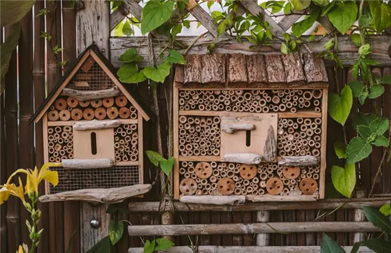 Insektenhotels auf der Terrasse