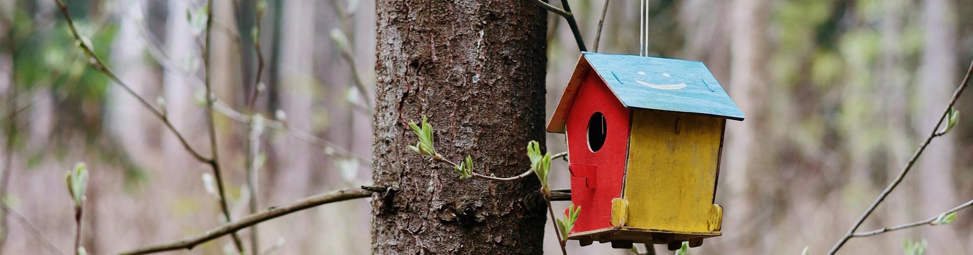 pexels-anastasia-stexova-12090819-0-1721-4160-2340 pexels-anastasia-stexova-12090819-0-1721-4160-2340