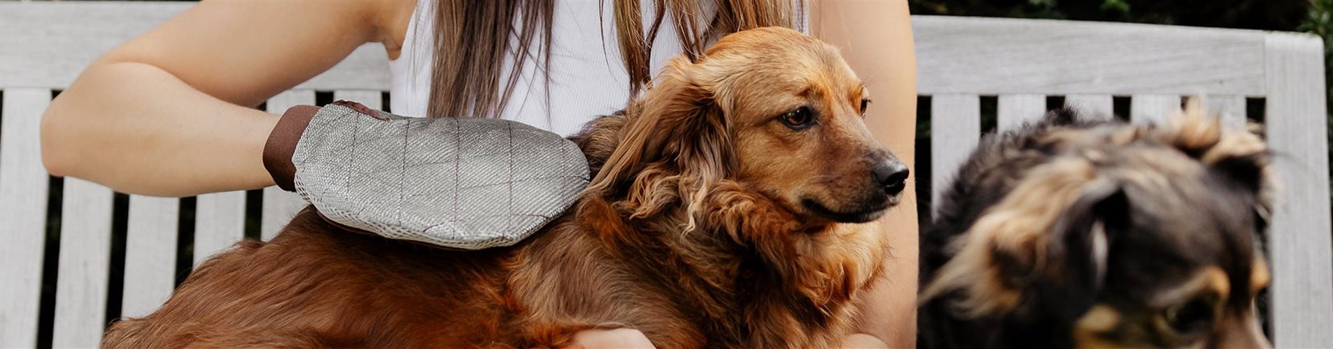 BellaFloraxstudiosoco-139-0-1522-2048-438 BellaFloraxstudiosoco-139-0-1522-2048-438