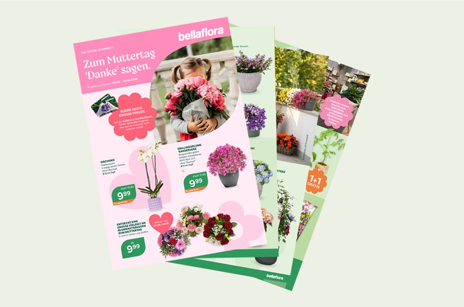 Top-Angebote bei bellaflora! Top-Angebote bei bellaflora!