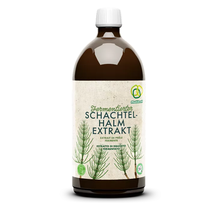 Fermentierter Schachtelhalmextrakt