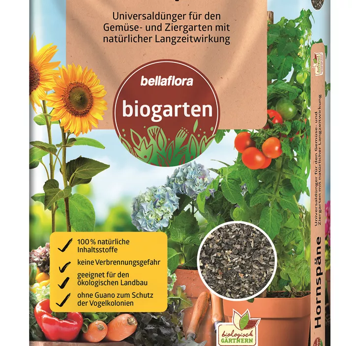 Hornspäne Hornspäne