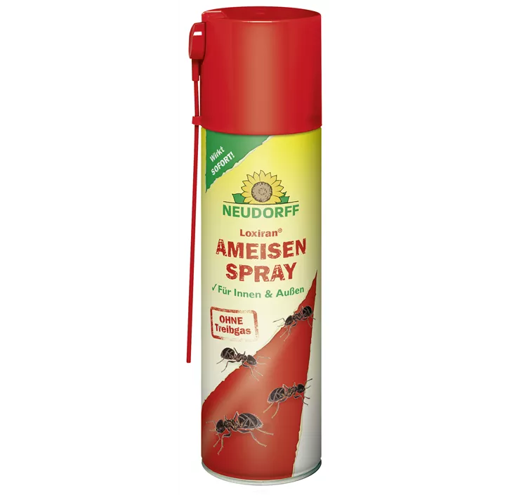 Loxiran Ameisen Spray