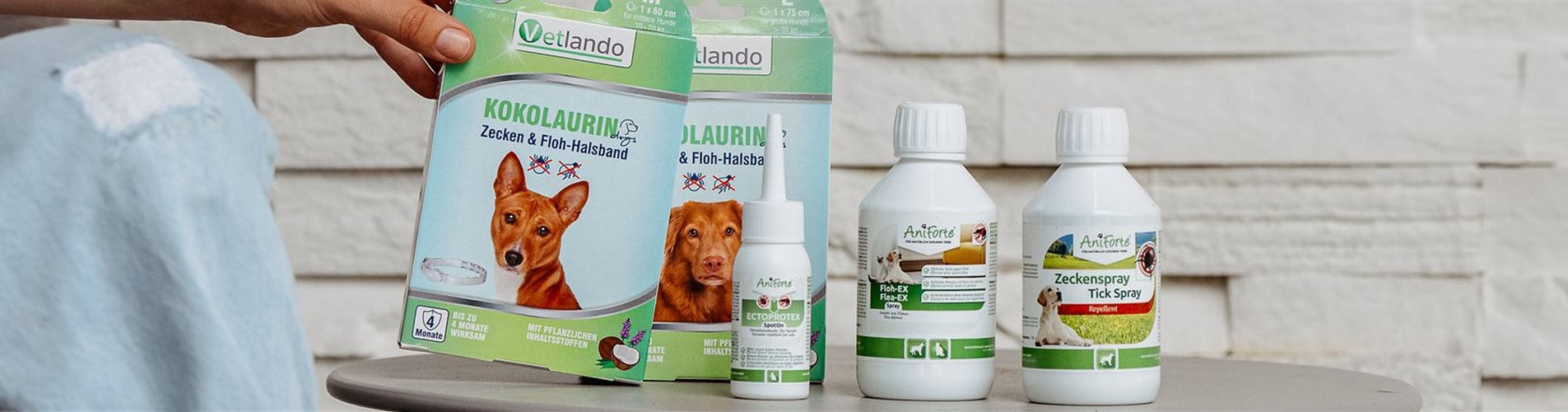 BellaFloraxstudiosoco-229-0-940-2048-438 BellaFloraxstudiosoco-229-0-940-2048-438