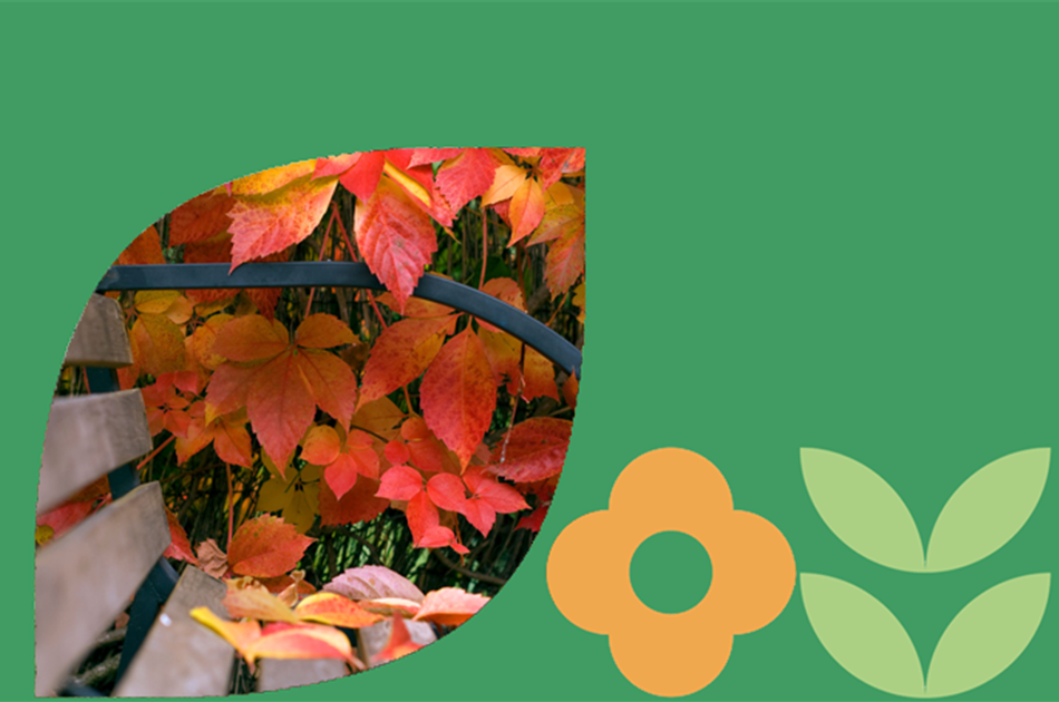 Mach's dir herbstlich schön! Mach's dir herbstlich schön!