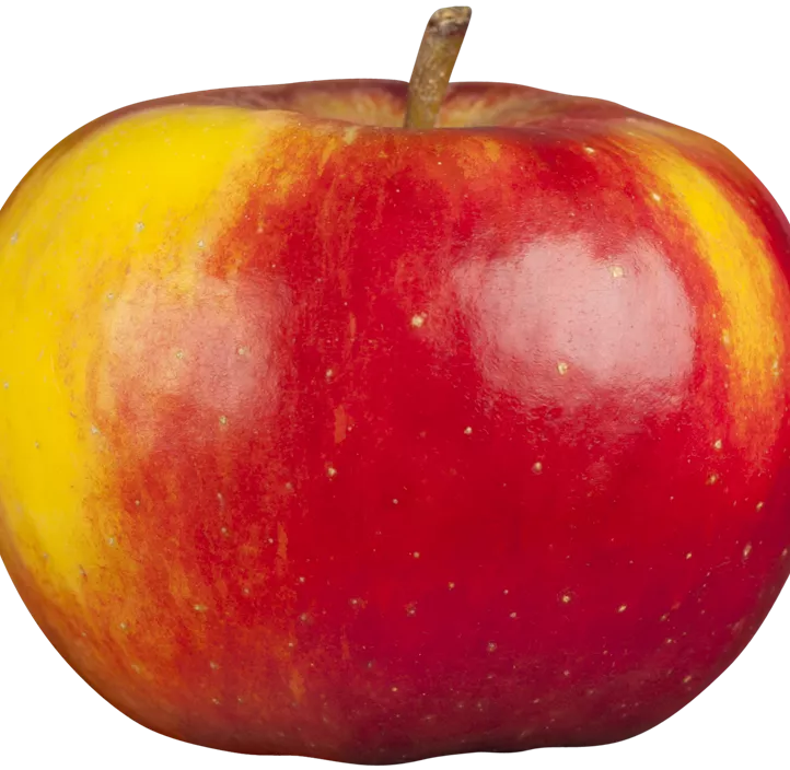 Winterapfel 'Topaz'(s)